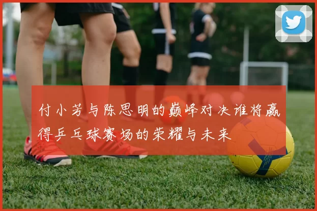 付小芳与陈思明的巅峰对决谁将赢得乒乓球赛场的荣耀与未来