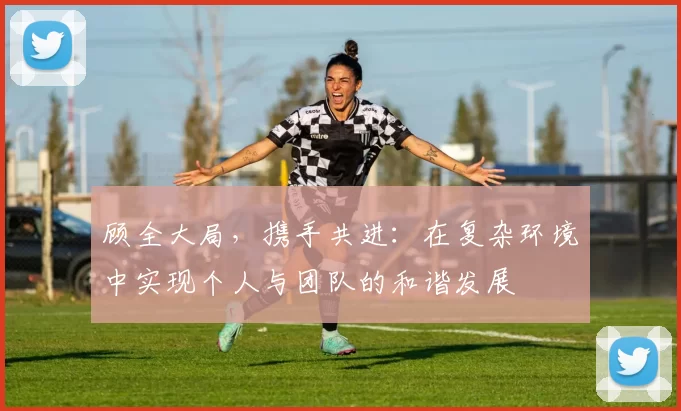 顾全大局，携手共进：在复杂环境中实现个人与团队的和谐发展