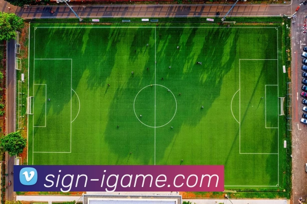 爱游戏服务体系